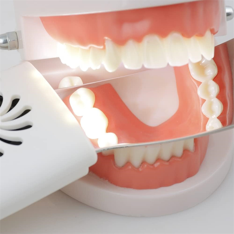 Dental Anti-Fog Mirrors With L - Photography Lighting Reflectors ulasan dan harga