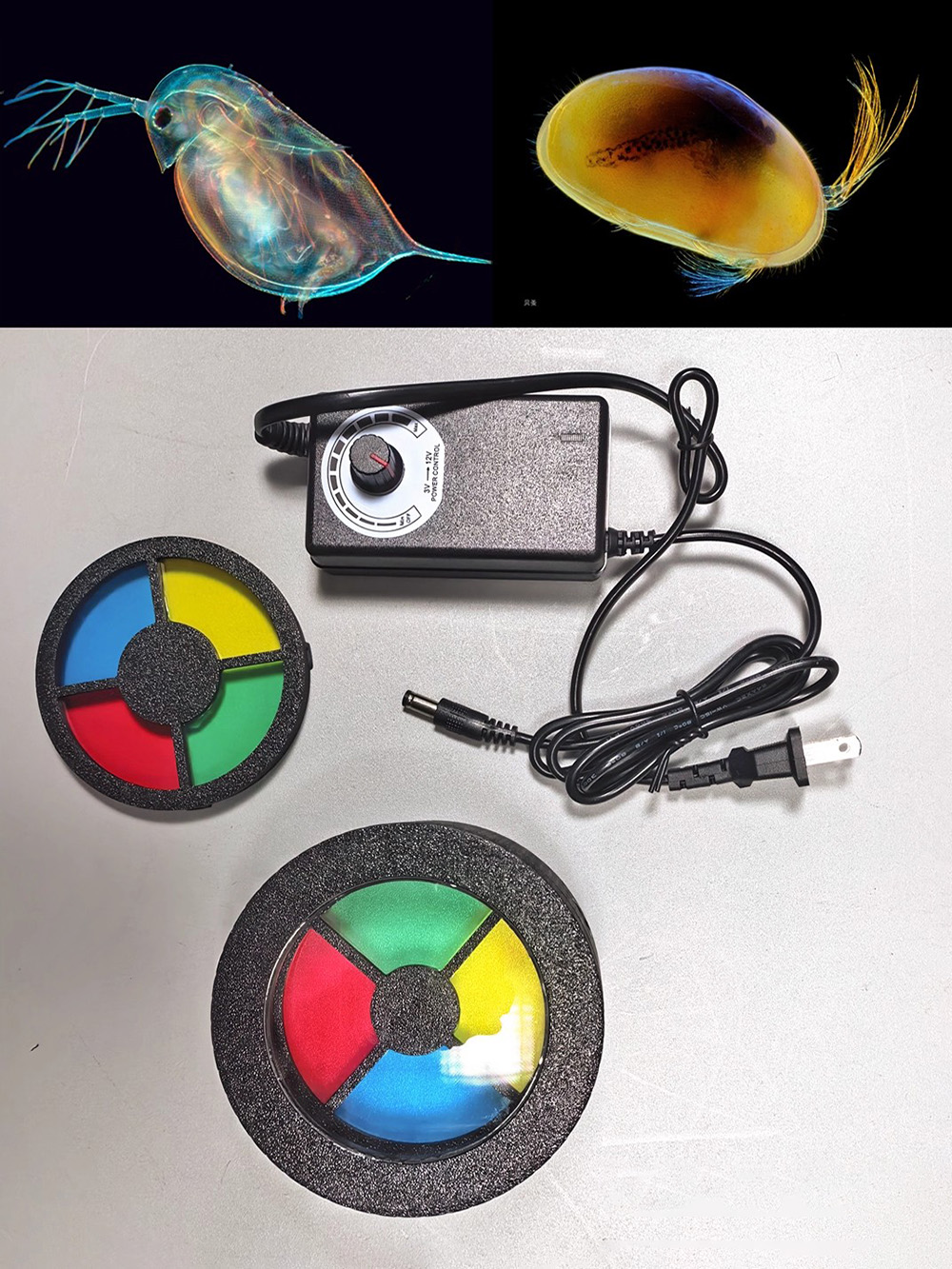 Darkfield Macro Flash for Micr - Photography Lighting Diy ulasan dan harga